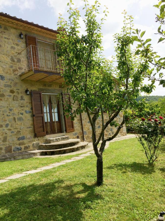 Agriturismo Ombianco Seggiano Zewnętrze zdjęcie